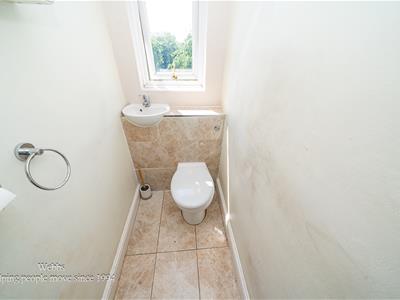 Picture 29